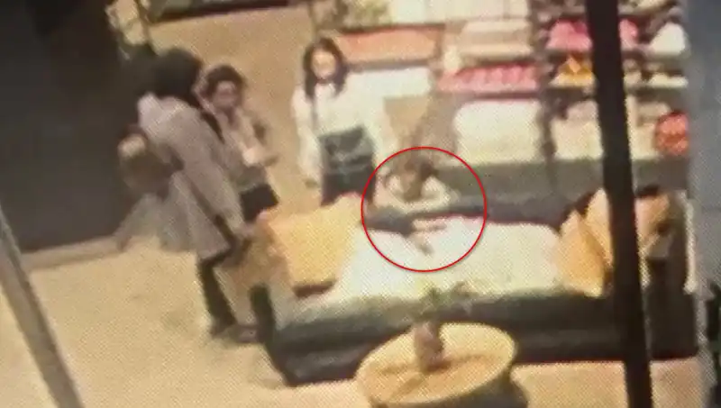 AVM'de 3 Yaşındaki Çocuğa Köpek Saldırdı: Anne Şokta