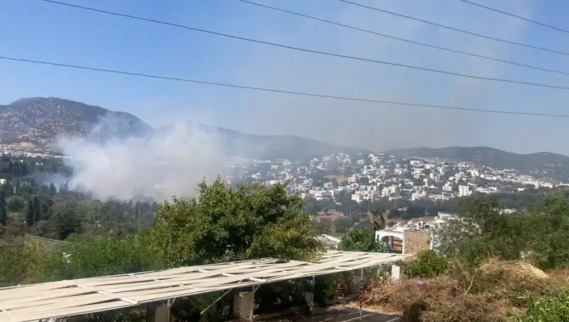 Muğla Orman Yangınları Kontrol Altına Alındı: Son Durum ve Gelecek Planları