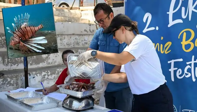 Antalya’da İstilacı Aslan Balığı Avlama Yarışması: Denizlerin Korunması İçin Heyecan Dolu Bir Mücadele