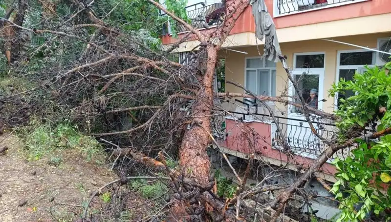Yağmurdan Sonra Gelen Felaket: Binanın Üzerine Devrilmesi Olayı