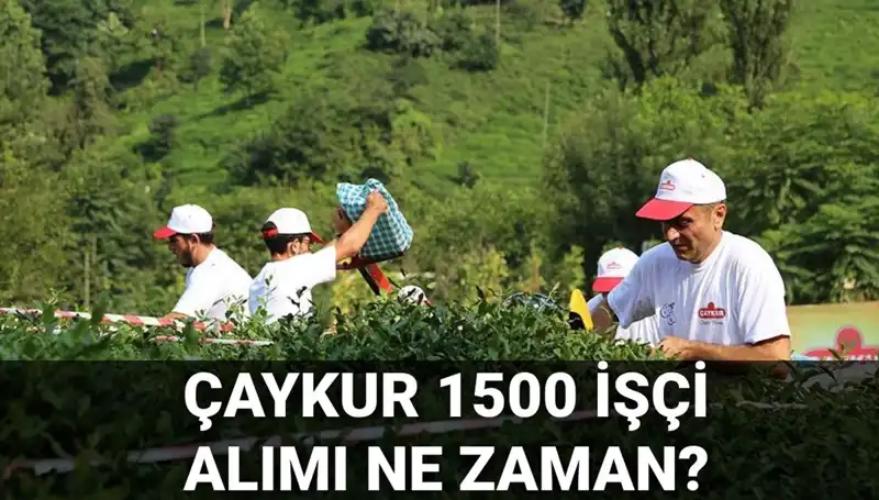 Çaykur İşçi Alımı Başvuruları Başladı! İşteTüm Detaylar