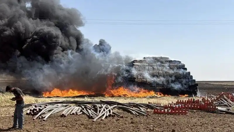 Mardin’de çıkan anız yangını, tarımsal ekosistemi tehdit ediyor!