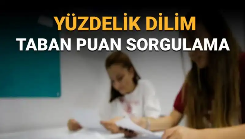 LGS 2025'te Taban Puanları ve Yüzdelik Dilim Sorgulama: Rehberiniz