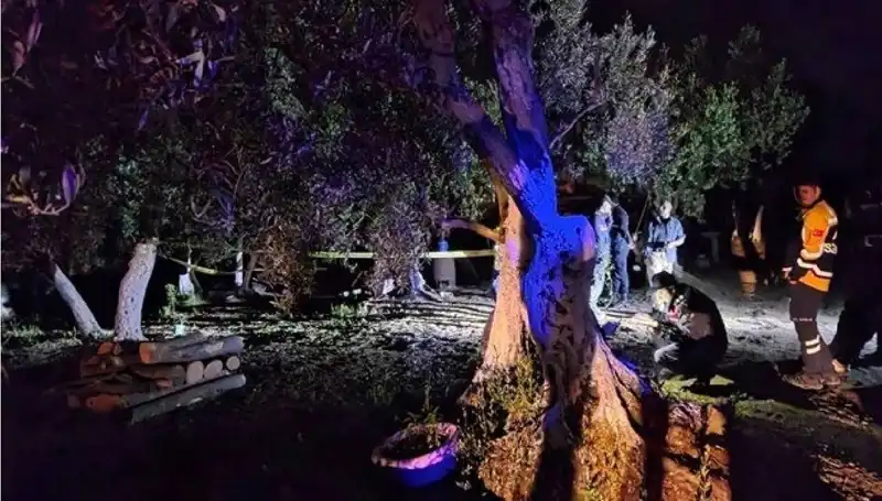 Çiftlikte Baltalı Vahşet: Korkunç Olayda İlk Tutuklama Gerçekleşti
